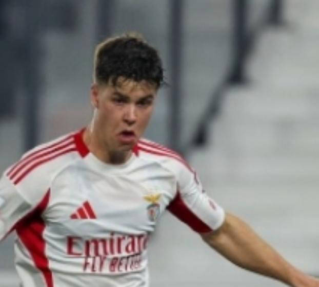 穆帅带队逆袭可期:本菲卡连胜不败,距榜首波尔图仅差7分,下轮大战成关键